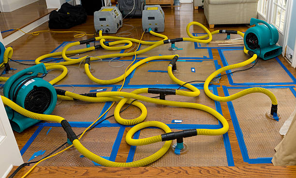 Professional Water Damage Restoration technician working in Germantown, MD